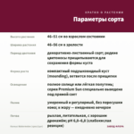 Колеус Watermelon (срез/1шт) — параметры сорта