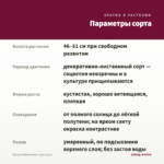 Колеус Watermelon (срез/1шт) — параметры сорта