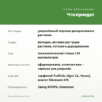 Колеус White Fingers (0,1л) — что приедет