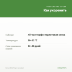 Колеус White Fingers (срез/1шт) — как укоренить черенок