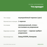 Колеус White Fingers (срез/1шт) — что приедет