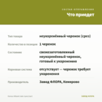 Колеус Wizard Jade (срез/1шт) — что приедет
