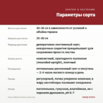 Колеус Wizard Scarlett (срез/1шт) — параметры сорта