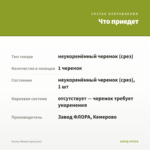 Колеус Wizard (срез/1шт) — что приедет