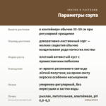 Колеус Zesty Zucchini (0,1л) — параметры сорта
