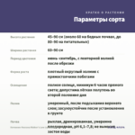 Котовник Фассена Walker's Low (срез/3шт) — параметры сорта
