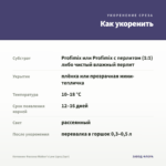 Котовник Фассена Walker's Low (срез/3шт) — как укоренить черенок