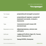 Крассула Ликоподиоидес (0,1л.) — что приедет