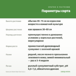 Крассула Овата Хорн Три (0,1л.) — параметры сорта