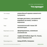 Крассула/Толстянка (Денежное дерево) 0,1л — что приедет