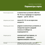 Крассула/Толстянка (Денежное дерево) 0,1л — параметры сорта