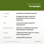 Крассула/Толстянка (Денежное дерево) 0,1л — что приедет