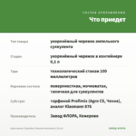 Крестовник Геррейна (Senecio herreianus) (0,1л) — что приедет