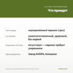 Крестовник Геррейна (Senecio herreianus) (срез/10-15см) — что приедет