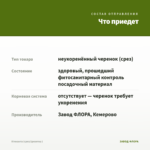 Ктенанта (срез/1розетка ) — что приедет