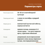 Лантана Lantropics Orange (0,1л) — параметры сорта