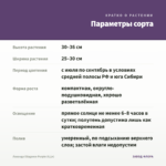 Лаванда Ellagance Purple (0,1л) — параметры сорта