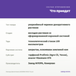 Лаванда фиолетовая LAVEANNA VIOLET (0,1л) — что приедет