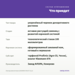Лаванда фиолетовая LAVEANNA VIOLET (0,1л) — что приедет