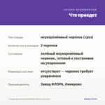 Лаванда фиолетовая LAVEANNA VIOLET (срез/3шт) — что приедет