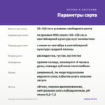 Лаванда зубчатая домашняя (0,1л) — параметры сорта
