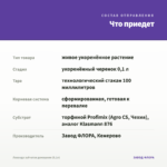 Лаванда зубчатая домашняя (0,1л) — что приедет