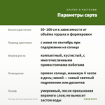 Лаванда зубчатая домашняя (0,1л) — параметры сорта