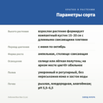 Лобелия Blue Star (0,1л) — параметры сорта