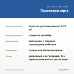 Лобелия Blue Star (срезы/5шт) — параметры сорта