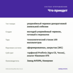 Лобелия Deep Blue Star (0,1л) — что приедет