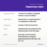 Лобелия Deep Blue Star (срезы/5шт) — параметры сорта