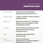 Лобелия FIREFLY Pink (0,1л) — параметры сорта