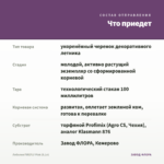 Лобелия FIREFLY Pink (0,1л) — что приедет