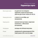 Лобелия FIREFLY Pink (срезы/5шт) — параметры сорта