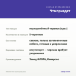 Лобелия Glow Azure (срезы/5шт) — что приедет