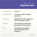 Лобелия Glow Blue Volt (срезы/5шт) — параметры сорта