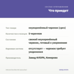 Лобелия Glow Blue Volt (срезы/5шт) — что приедет