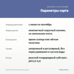 Лобелия Glow Electric Blue (срезы/5шт) — параметры сорта