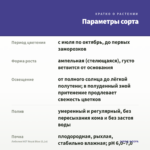 Лобелия HOT Royal Blue (0,1л) — параметры сорта