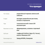 Лобелия HOT Royal Blue (0,1л) — что приедет