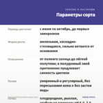 Лобелия HOT Royal Blue (срезы/5шт) — параметры сорта