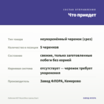 Лобелия HOT Royal Blue (срезы/5шт) — что приедет