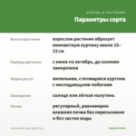 Лобелия HOT Snow White (0,1л) — параметры сорта