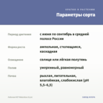 Лобелия HOT Waterblue (0,1л) — параметры сорта