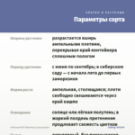 Лобелия HOT Waterblue (срезы/5шт) — параметры сорта