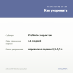 Лобелия HOT Waterblue (срезы/5шт) — как укоренить черенок