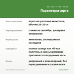 Лобелия White Star (срезы/5шт) — параметры сорта