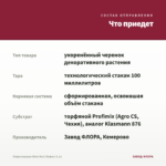 Лофоспермум Wine Red (Лофос) 0,1л — что приедет