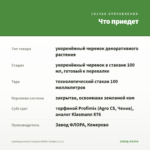 Lophospermum Compact White (Лофос) 0,1л — что приедет