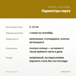 Мекардония (0,1л.) — параметры сорта